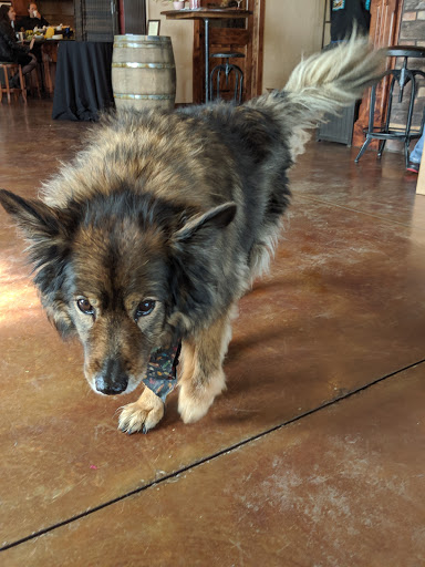 Winery «Methven Family Wines», reviews and photos, 11400 SE Westland Ln, Dayton, OR 97114, USA