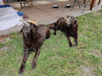 Pacific Veterinary Emergency and Specialty Hospital - Photo 6 - Car repair in Lafayette, CA, Vallejo
