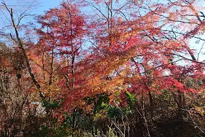 Marubi Nature Park image