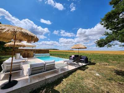 OXR hawaiian Pool by Chat&Oliver à Fouronnes