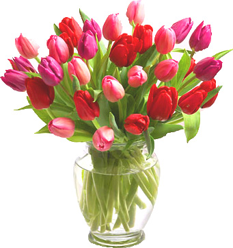 Florist «GAITHERSBURG FLORIST & GIFT BASKETS», reviews and photos, 410 N Frederick Ave, Gaithersburg, MD 20877, USA