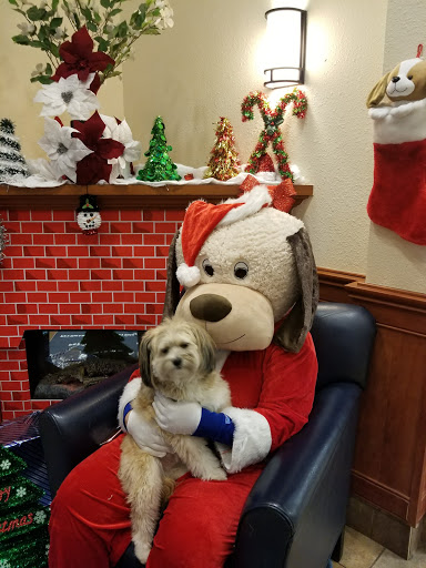 Pet Supply Store «PetSmart», reviews and photos, 288 West Ave, Stamford, CT 06902, USA