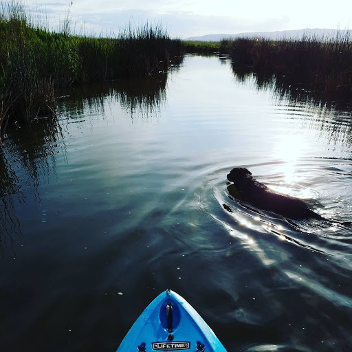 Paddle Board (SUP)  Kayak  & Canoe Rentals Utah