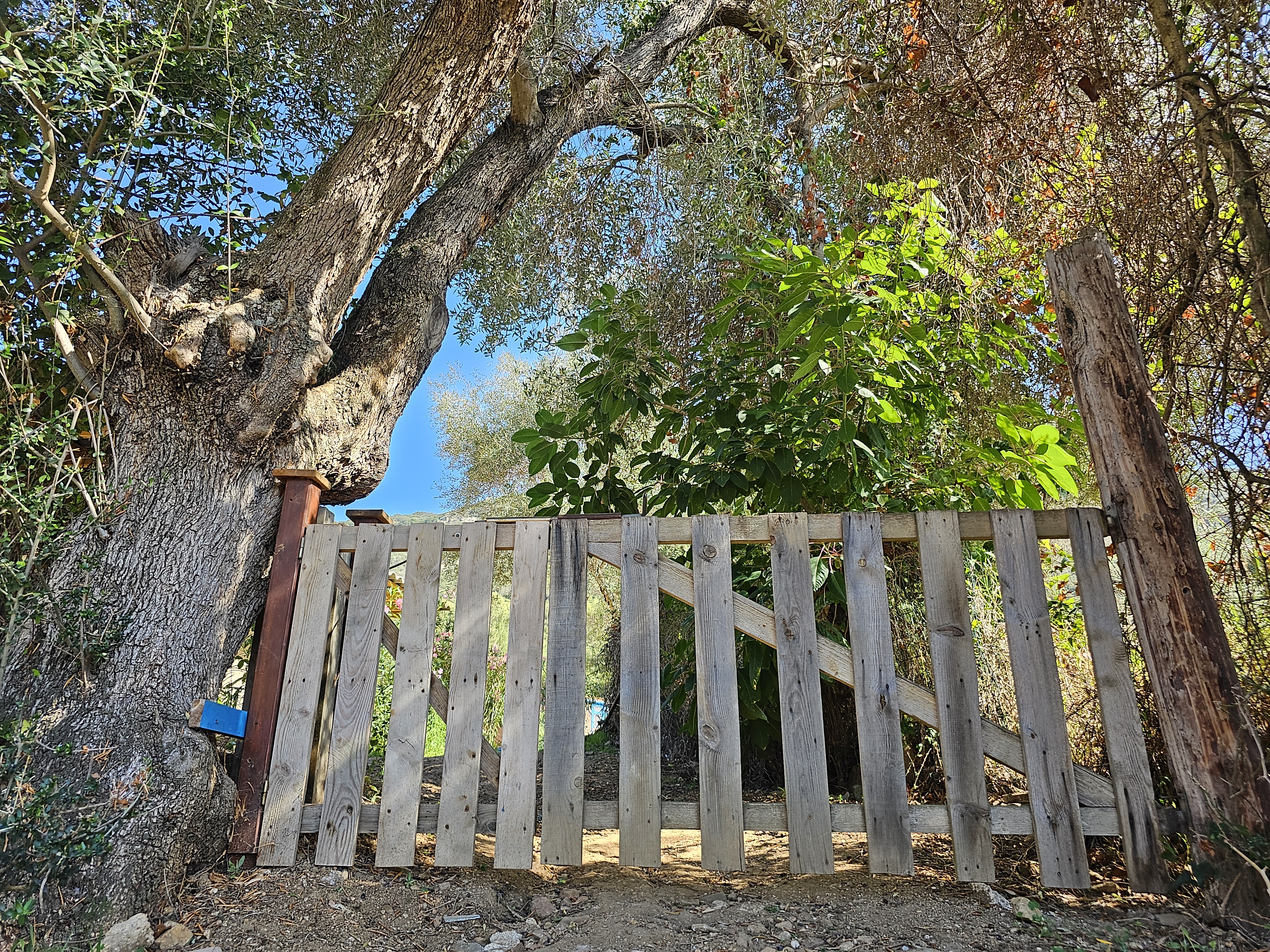 Photo n° 3 de l'avis de Murielle.a fait le 24/10/2023 à 18:11