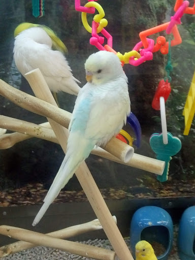 Pet Supply Store «Petco Animal Supplies», reviews and photos, 525 S 5th St, Bismarck, ND 58504, USA