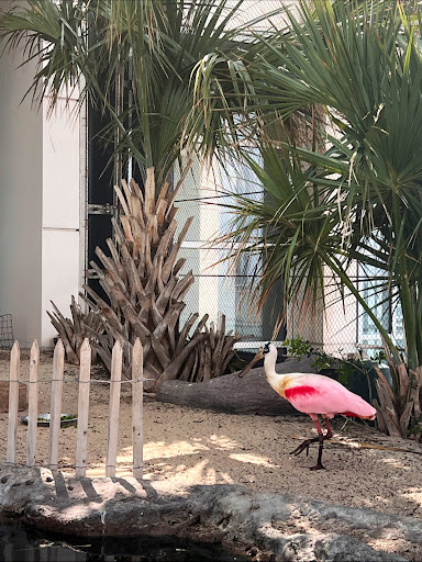 Aquarium «South Carolina Aquarium», reviews and photos, 100 Aquarium Wharf, Charleston, SC 29401, USA