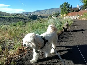 Rainbow Ridge Park - photo 10