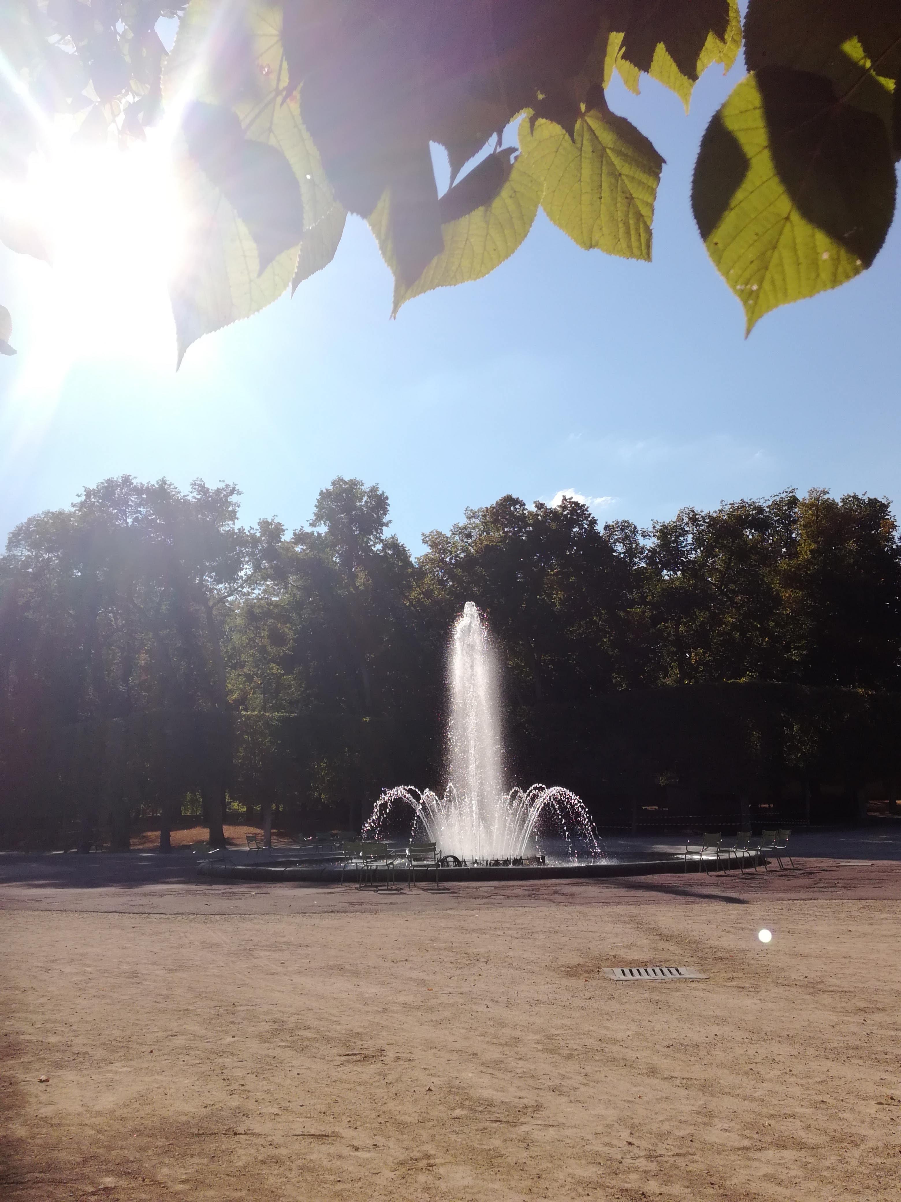 Photo n° 1 de l'avis de H. fait le 14/10/2018 à 14:15