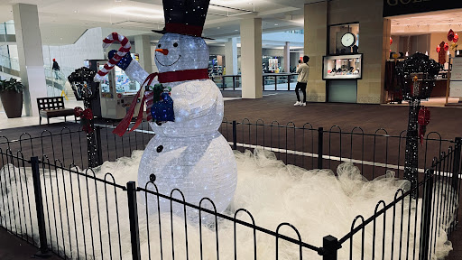 Shopping Mall «Lloyd Center», reviews and photos, 2201 Lloyd Center, Portland, OR 97232, USA