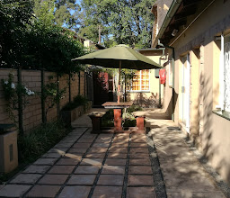 1233 on Webb photo