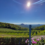 Photo n°4 de l'avis de Andrea.e fait le 04/06/2019 à 04:43 sur le  Trattoria Teresa Di Bressan Loretta à Cinto Euganeo