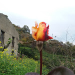 Photo n°1 de l'avis de saro.o fait le 12/01/2018 à 19:48 sur le  Le Rocche Agriturismo à San Piero Patti