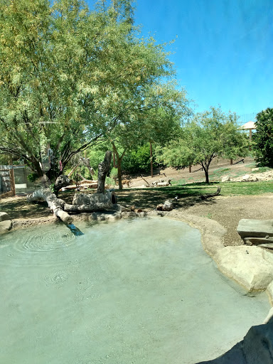 Zoo «Phoenix Zoo», reviews and photos, 455 N Galvin Pkwy, Phoenix, AZ 85008, USA
