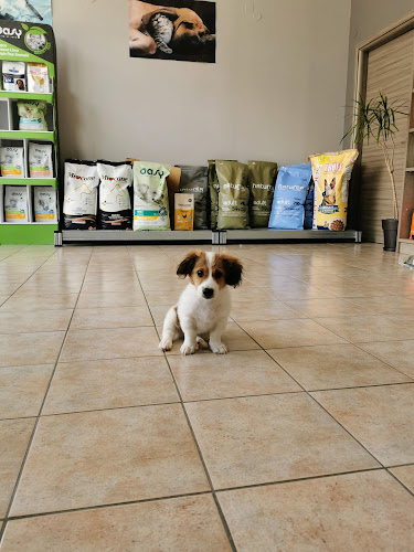 ΚΤΗΝΙΑΤΡΕΙΟ ΑΡΗΣ Σ. ΤΣΟΓΚΑΣ - Κτηνίατρος