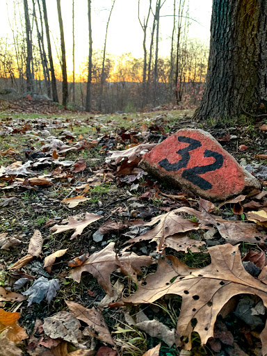 Campground «Toye Recreation Campground», reviews and photos, 7 Babtown Rd, Sussex, NJ 07461, USA