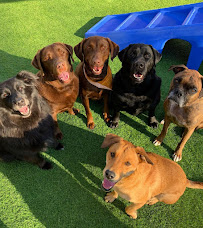 Texas Doghouse - The Woodlands - Photo 6 - Car repair in Magnolia, TX, The Woodlands