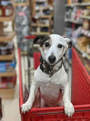 Hardware Store «Ambridge Do It Best Home Center», reviews and photos, 500 Ohio River Blvd, Ambridge, PA 15003, USA