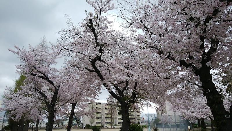 鶴町北公園