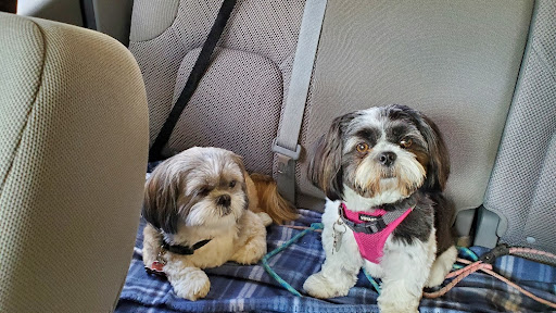 Sumter County Animal Hospital