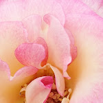 Photo n° 1 de l'avis de Dominique.o fait le 11/07/2019 à 11:19 pour Chez Madeleine à Boulogne-Billancourt