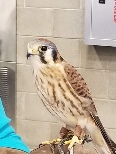 Event Venue «WestWorld of Scottsdale», reviews and photos, 16601 N Pima Rd, Scottsdale, AZ 85260, USA