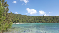 Iron Cove Beach'in fotoğrafı çok temiz temizlik seviyesi ile
