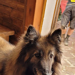 Photo n°4 de l'avis de Lucio.a fait le 17/08/2021 à 08:58 sur le  Ristorante Bar La Brecciara à Rocca di Cambio