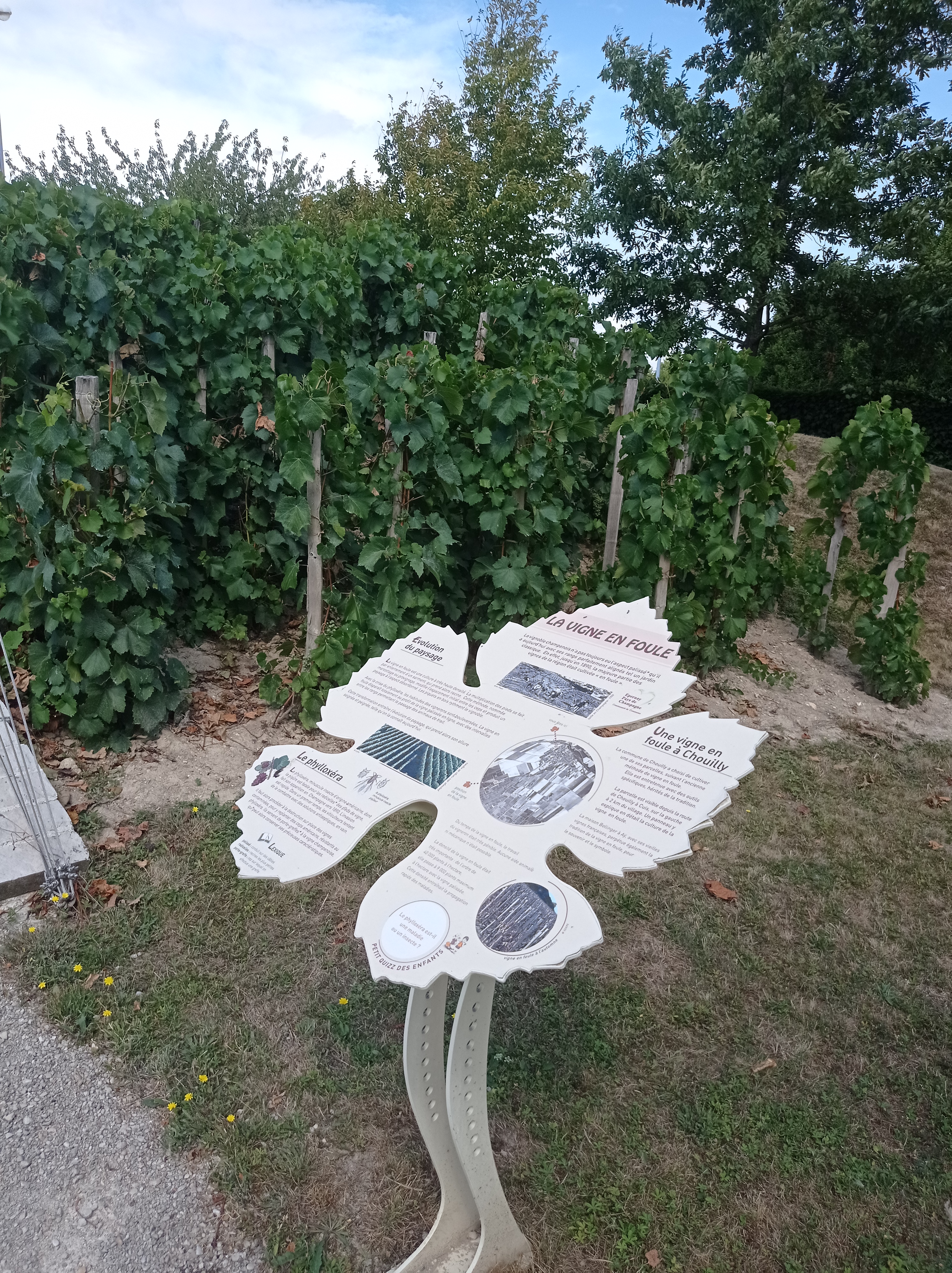 Photo n° 2 de l'avis de martin.y fait le 17/08/2022 à 04:38