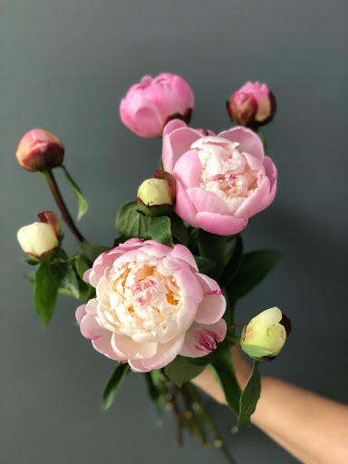 Florist «J Miller Flowers», reviews and photos, 4416 Piedmont Ave, Oakland, CA 94611, USA