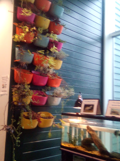 Science Academy «The Living Arts & Science Center», reviews and photos, 362 N Martin Luther King Blvd, Lexington, KY 40508, USA