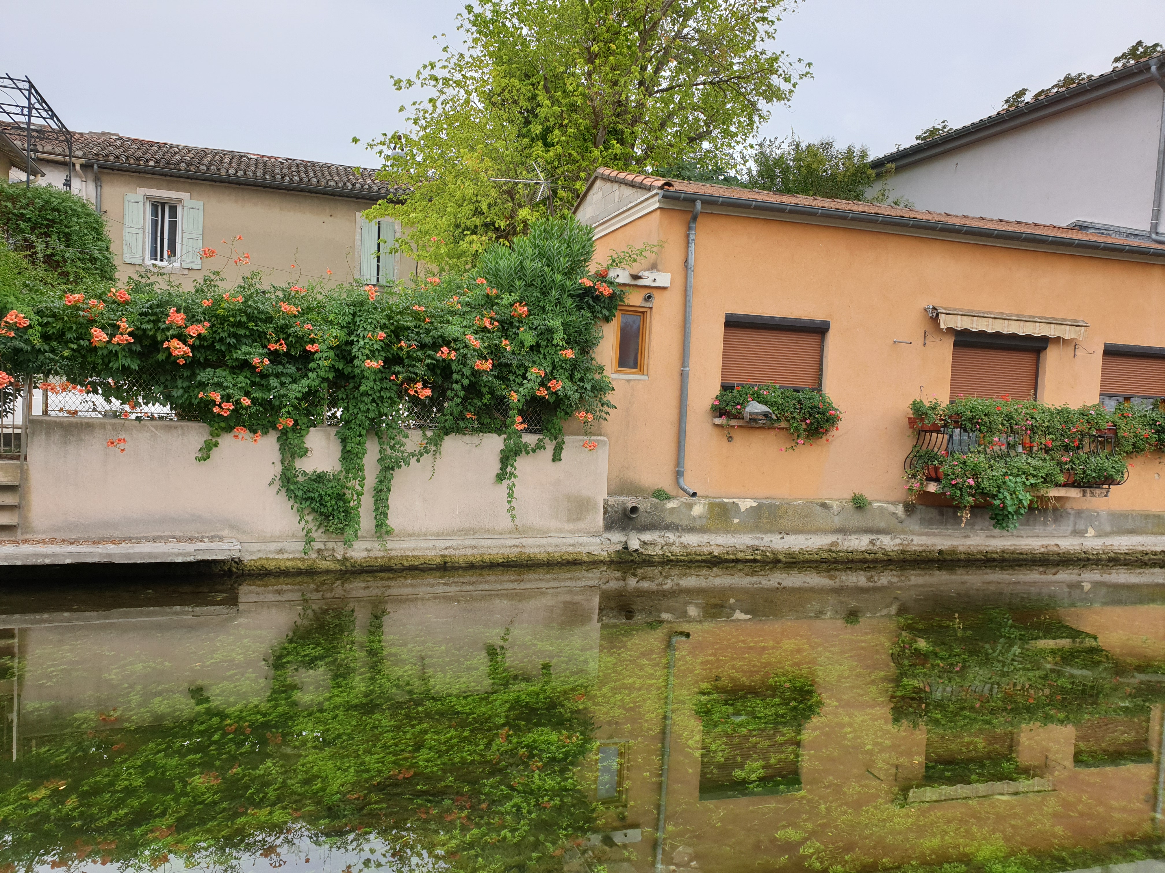 Photo n° 13 de l'avis de Yu.u fait le 28/08/2019 à 19:01