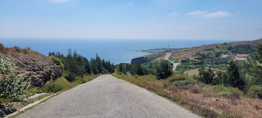 Top 20 cửa hàng akemi Huyện Lý Sơn Quảng Ngãi 2022