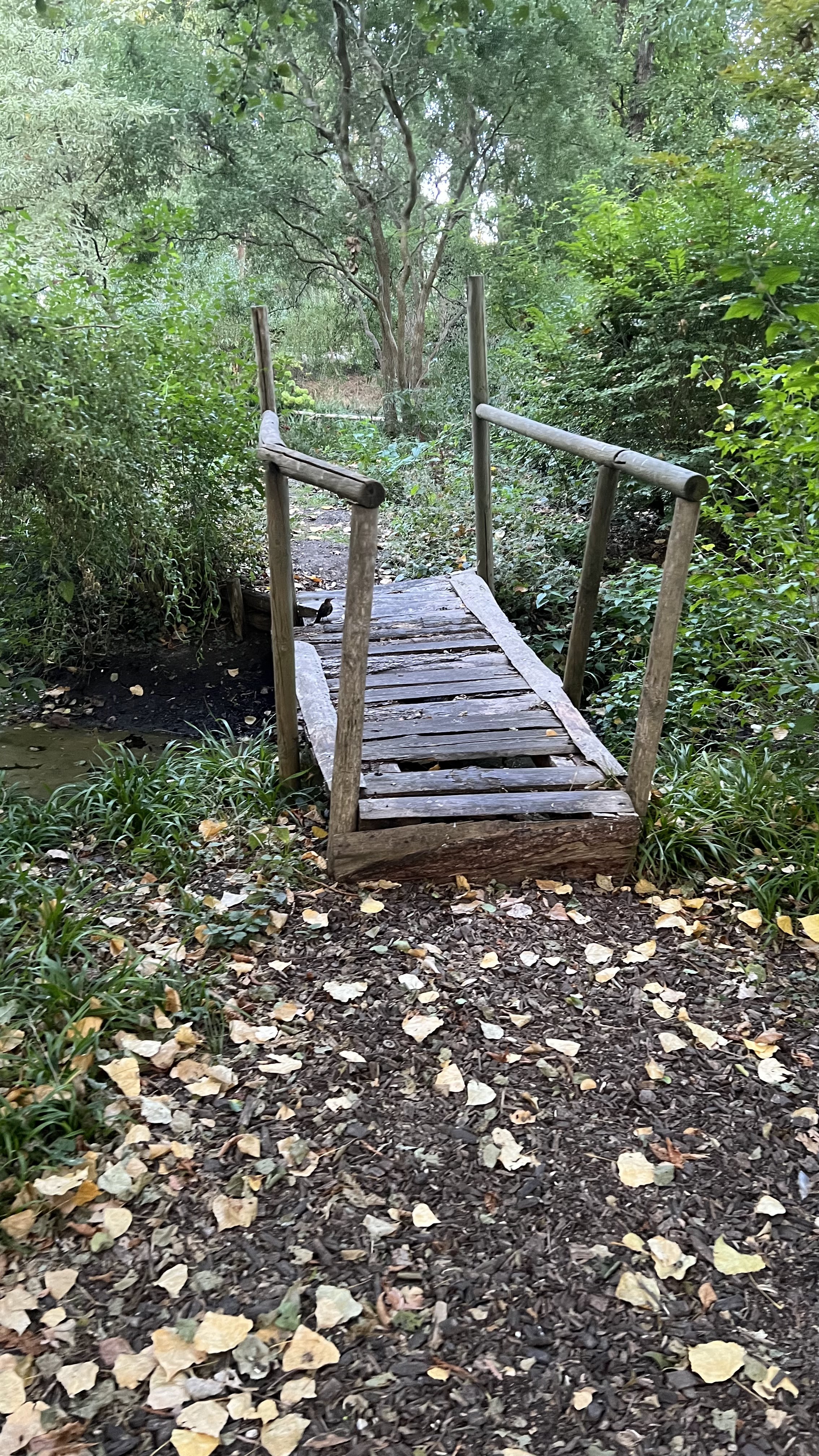 Photo n° 1 de l'avis de Franck.o fait le 03/08/2018 à 14:09