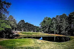 Pointe South Golf Club image