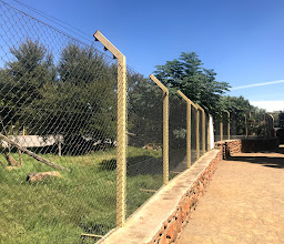 Bloemfontein Zoo photo