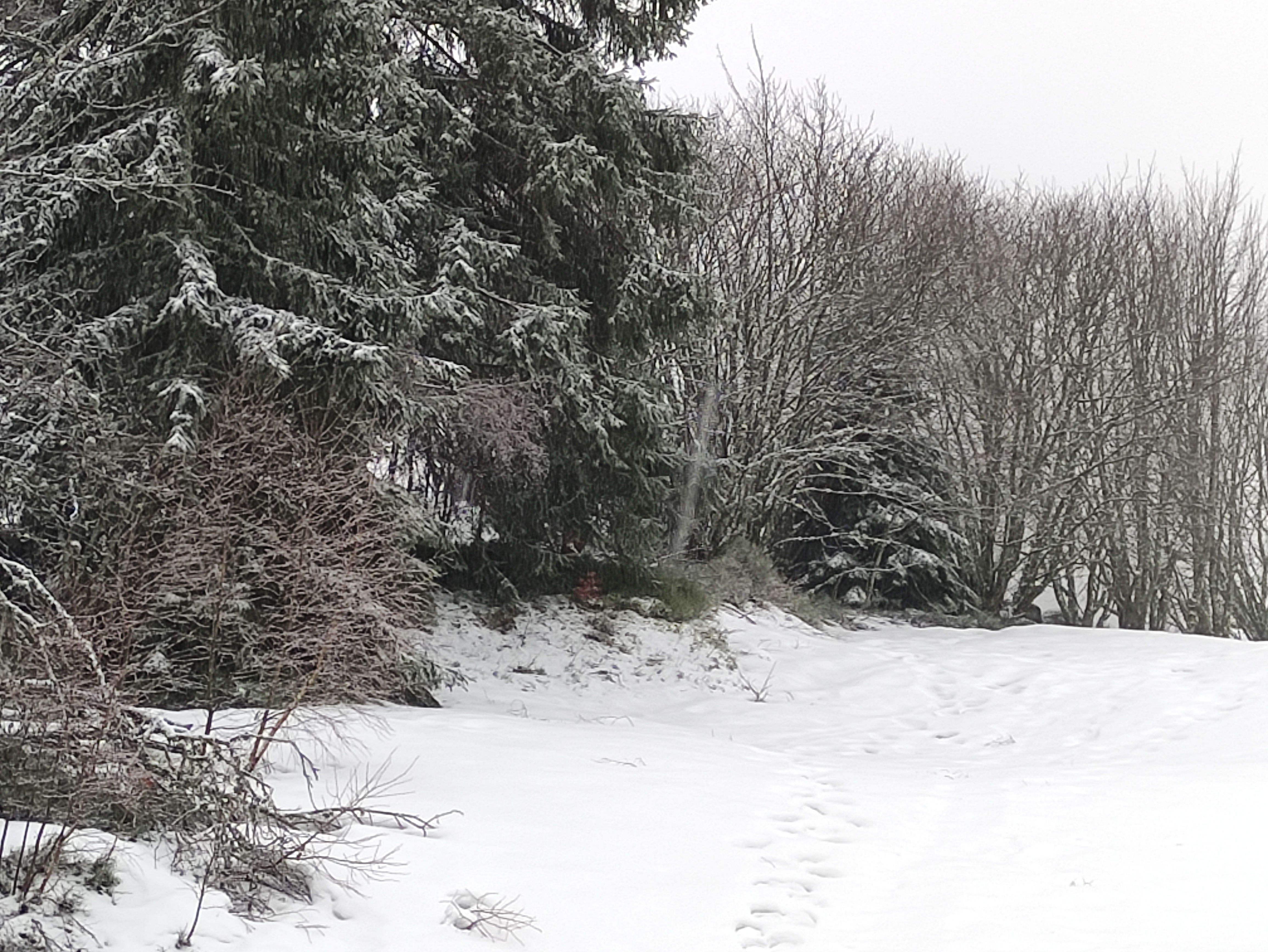 Photo n° 1 de l'avis de Carine.a fait le 13/02/2020 à 11:12