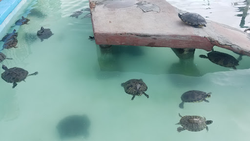 Water Park «Wild Water & Wheels», reviews and photos, 910 Highway 17 S, Surfside Beach, SC 29575, USA