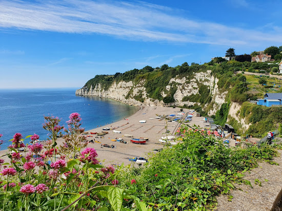 Beer beach
