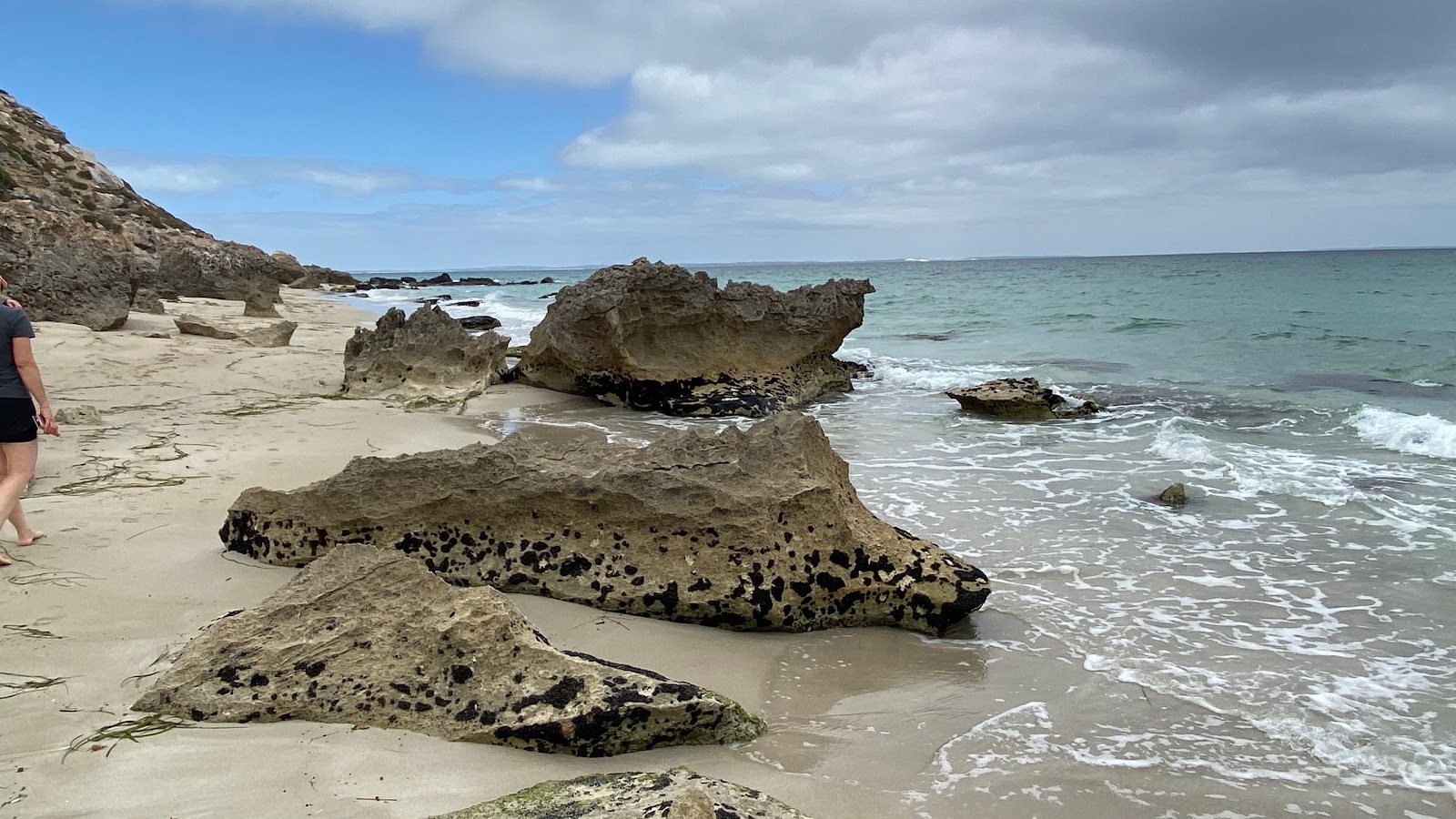 Gallipoli Beach'in fotoğrafı vahşi alan