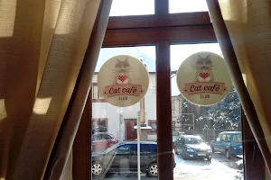 Cat Café Club Poprad image