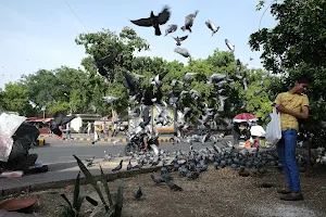 Kabootar Chowk, Connaught Place image