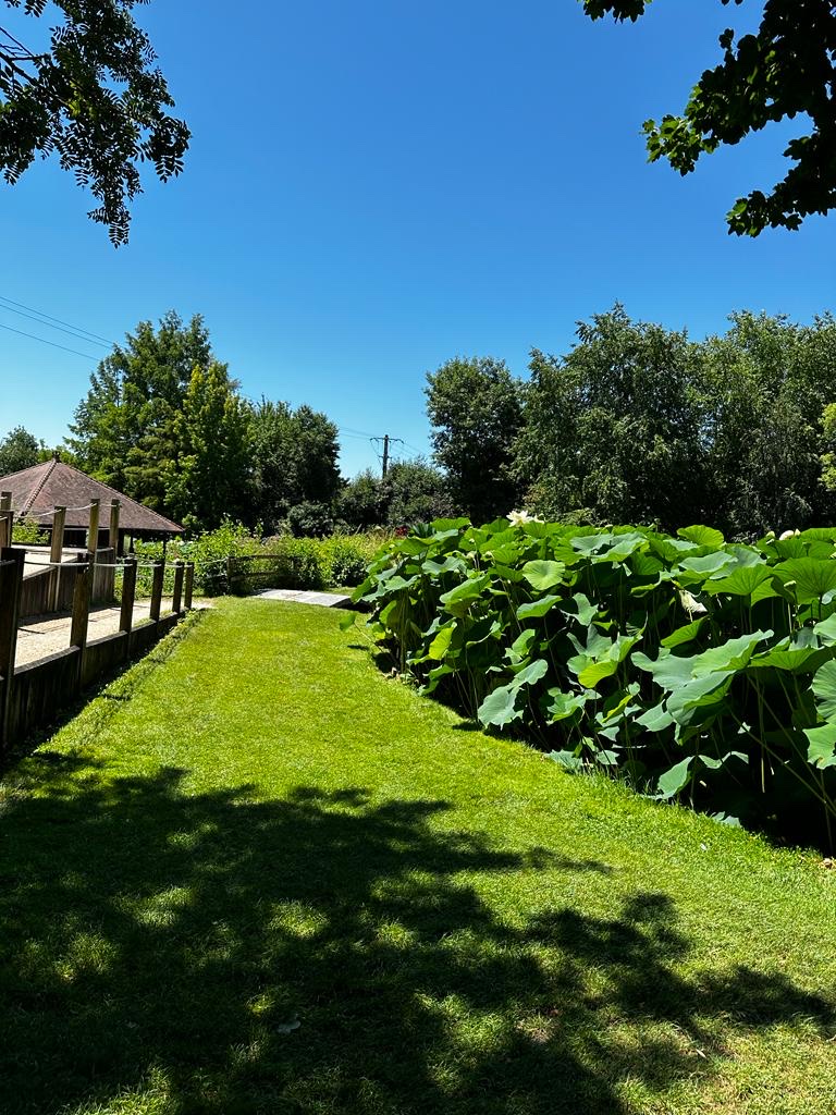 Photo n° 3 de l'avis de Démolition.� fait le 18/07/2023 à 18:23