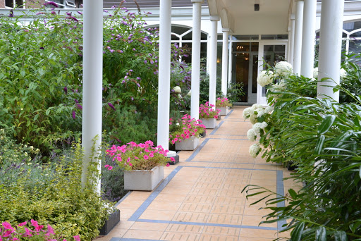 Weddings in farmhouses in Rotterdam