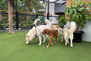 Pet Garden Gading Serpong image