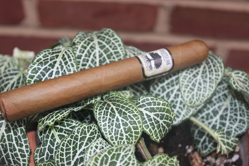 Tobacco Shop «The Tobacco Company», reviews and photos, 6301 Grayson Rd, Harrisburg, PA 17111, USA