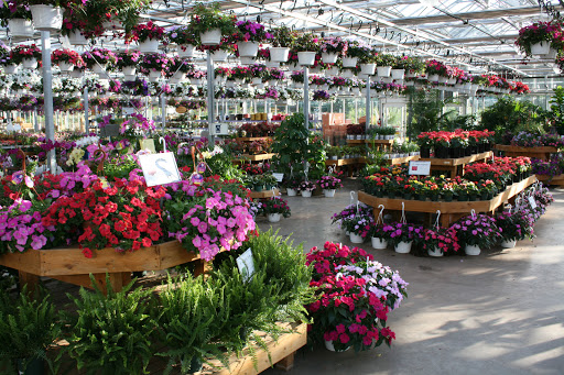 Garden Center «Blooms at Belle Mead», reviews and photos, 1980 US-206, Belle Mead, NJ 08502, USA