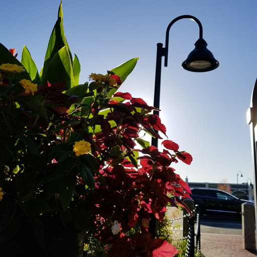 Museum «International Tennis Hall of Fame», reviews and photos, 194 Bellevue Ave, Newport, RI 02840, USA