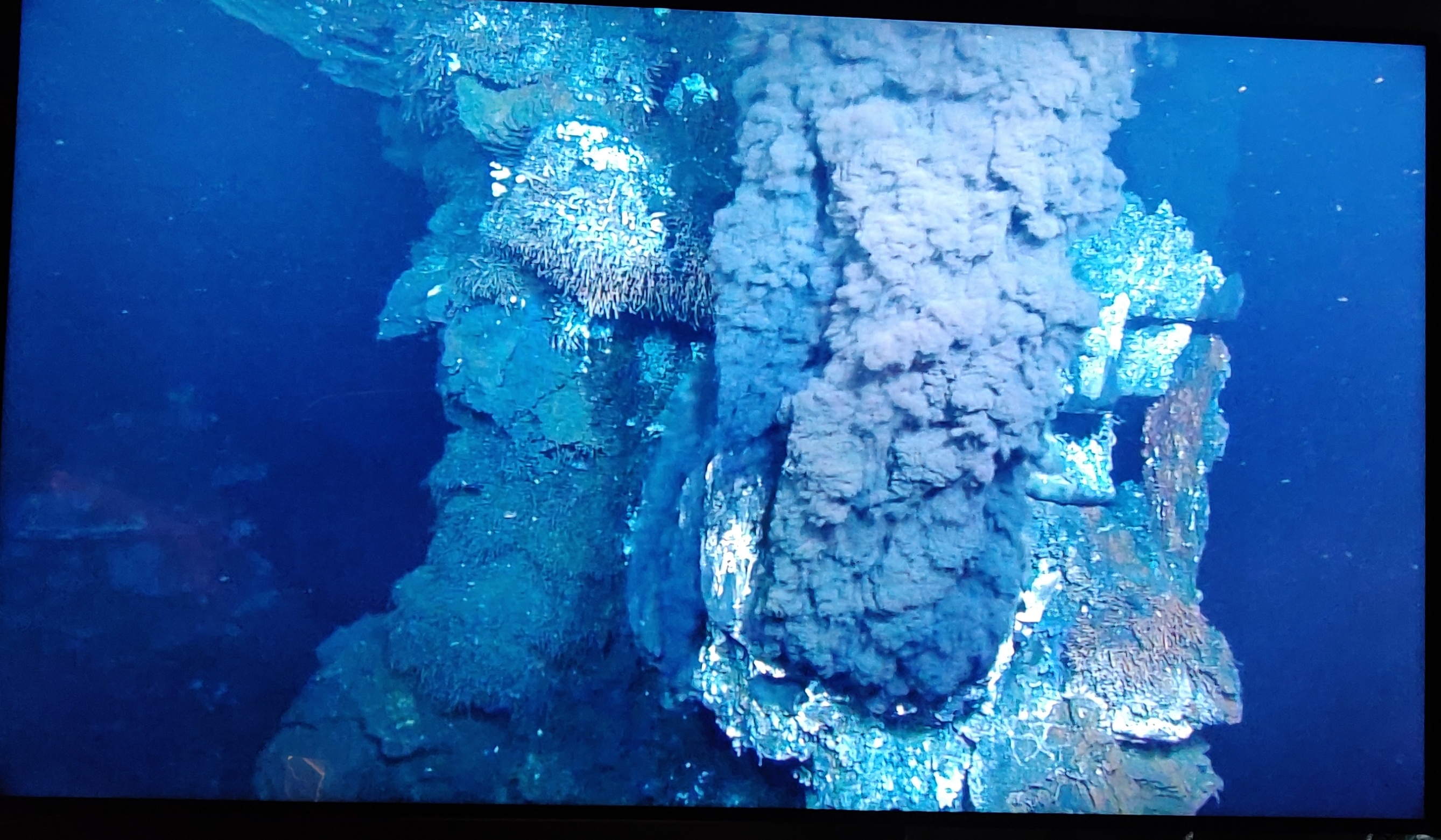 Photo n° 25 de l'avis de CHRISTIAN.A fait le 20/08/2019 à 17:52