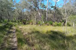 Freshwater National Park image