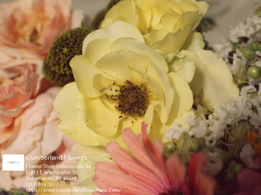 Florist «Cumberland Flowers», reviews and photos, 11817 E Washington St, Indianapolis, IN 46229, USA